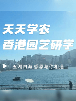 与香港园艺学会联合举办香港园艺研学，专业园境师带队讲解。